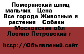 Померанский шпиц мальчик › Цена ­ 30 000 - Все города Животные и растения » Собаки   . Московская обл.,Лосино-Петровский г.